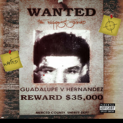 WANTED