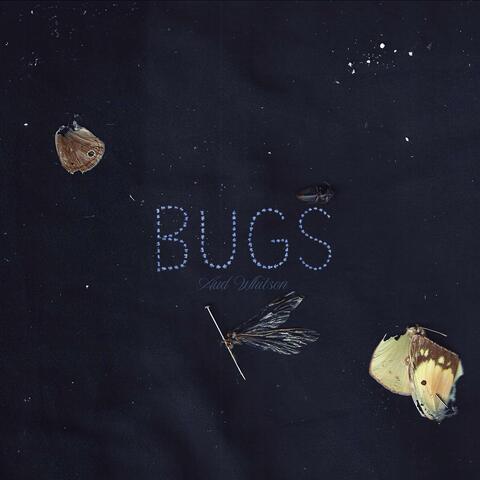 Bugs