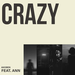 Crazy (feat. Ann)