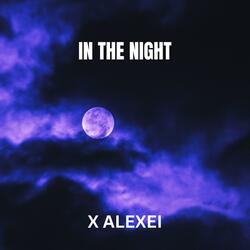 IN THE NIGHT