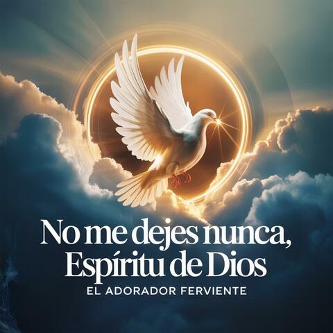 NO ME DEJES NUNCA, ESPIRITU DE DIOS