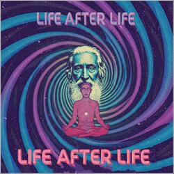 Alan Watts Life After Life (Psytrance)