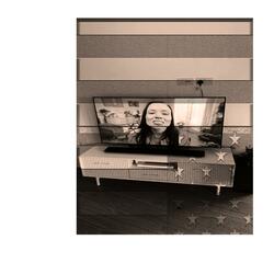 Women in Film and Television
