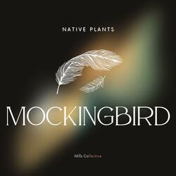 Mockingbird (feat. Native Plants)