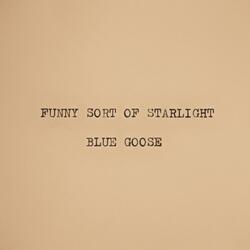 Funny Sort of Starlight