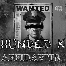 AFFIDAVITS
