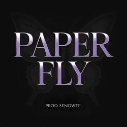 Paper Fly