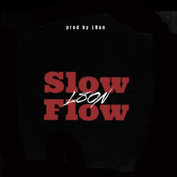 Slow Flow