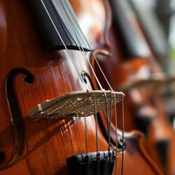 For Maya (Uplifting String and Wind Orchestra)