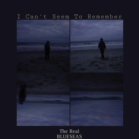 I Can't Seem To Remember