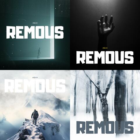 Remous