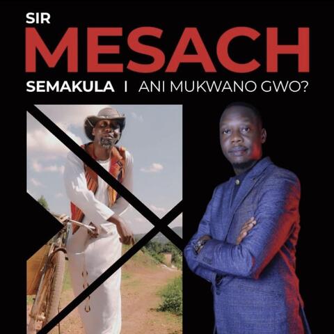 Ani Mukwano Gwo
