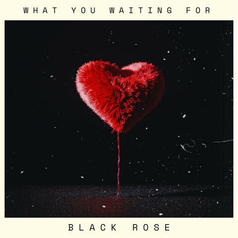 What You Waiting For