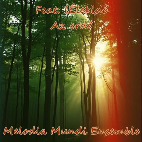Az erdő (feat. lÉlekidő)