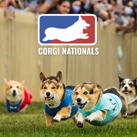 Corgi Nationals Theme