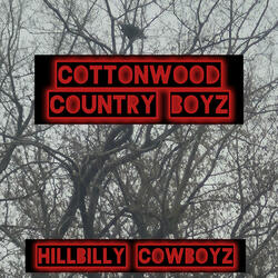 Hillbilly Cowboyz
