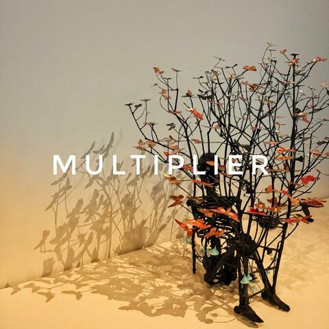 Multiplier
