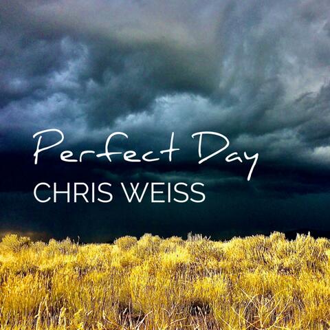 Perfect Day