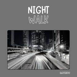 Night Walk