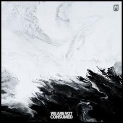 We Are Not Consumed (feat. ben haydn)