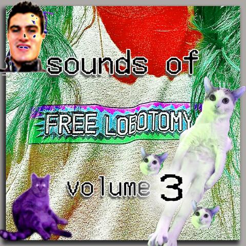 sounds of free lobotomy volume 3