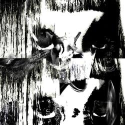 I HAVE MALICE IN MY <3