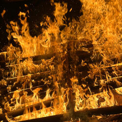 Ignorance (feat. Mikeyy401)