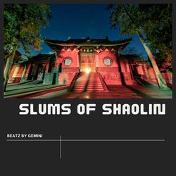 Slums Of Shaolin