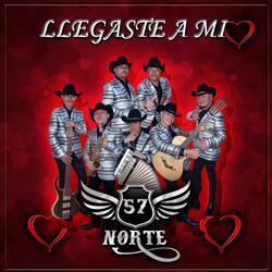 Llegaste A Mi