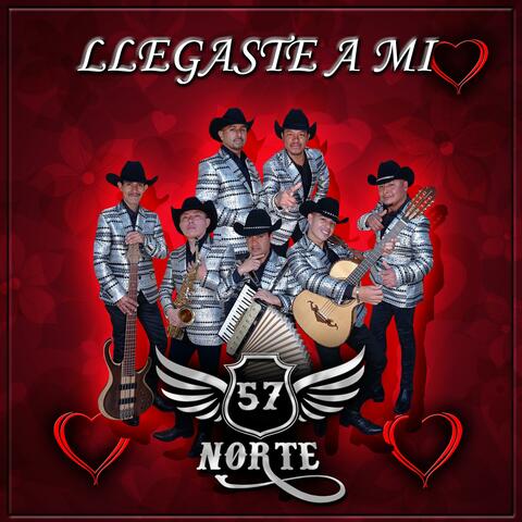 Llegaste A Mi