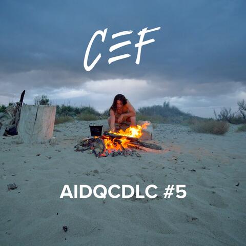 AIDQCDLC#5