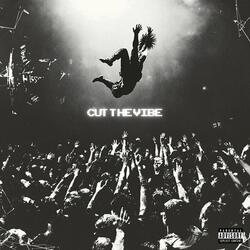 CUT THE VIBE
