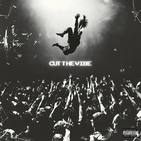 CUT THE VIBE
