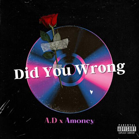 Did You Wrong (feat. Amoney)