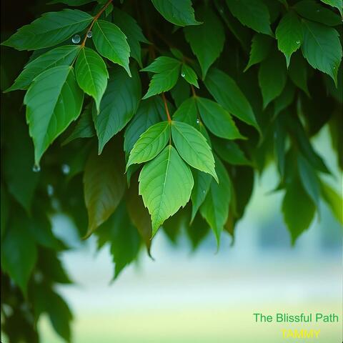 The Blissful Path
