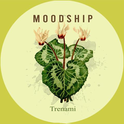 Trenami