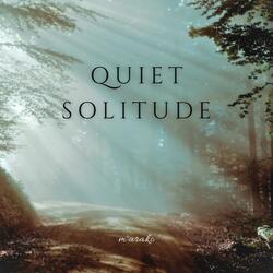 Quiet Solitude