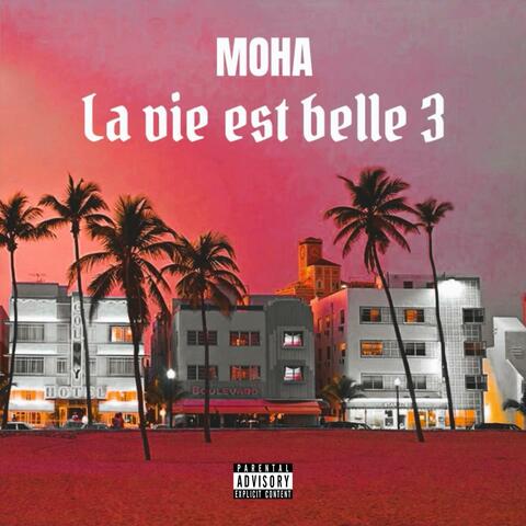 La vie est belle 3