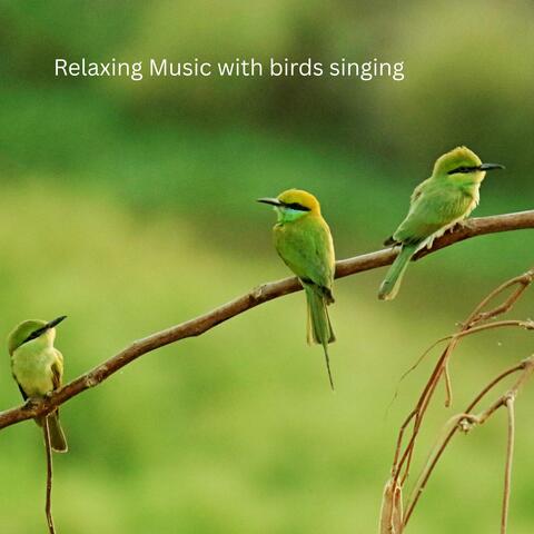 A beautiful relaxing piano music (nature birds sound)