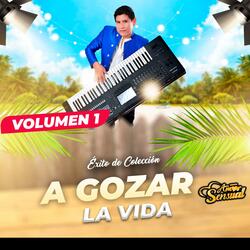 A gozar la vida (Volumen 1)