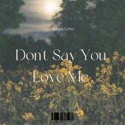 Don't Say You Love Me
