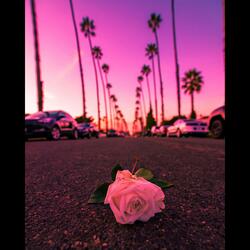 Chill pulse (slowed + reverb)