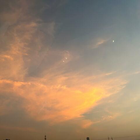 Hold Me Before I Shatter