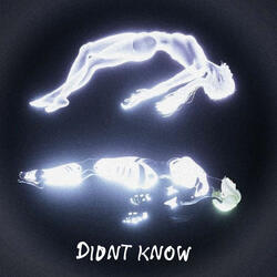 Didn't Know (Vocals Only)