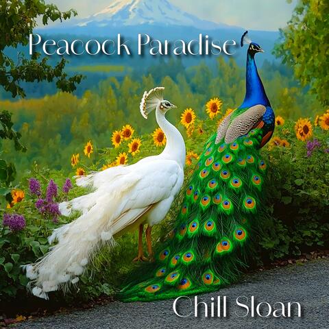 Peacock Paradise