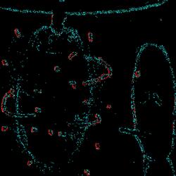 played with the bee's