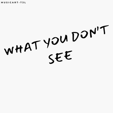 What you don't see