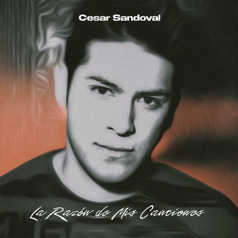 La Razón de mis Canciones
