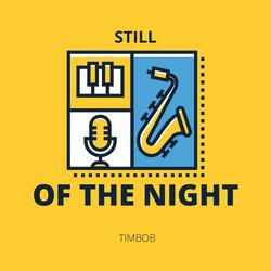 Still Of The Night