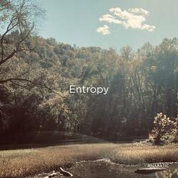 Entropy